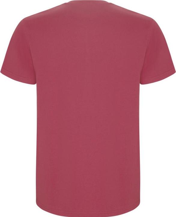 Immagine prodotto Alpinia Stafford Maglietta Uomo (XL)