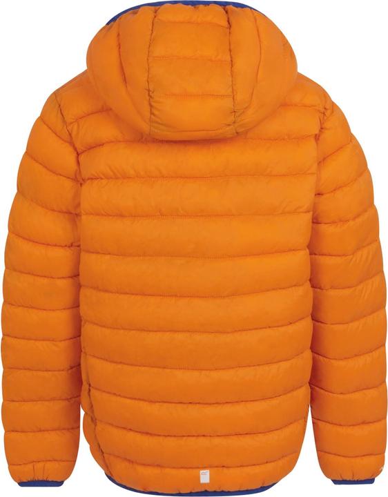Actual product image Regatta Childrens/Kids Marizion Hooded Padded Jacket (146, 152)