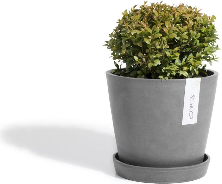 Actual product image Ecopots Amsterdam (20 cm)