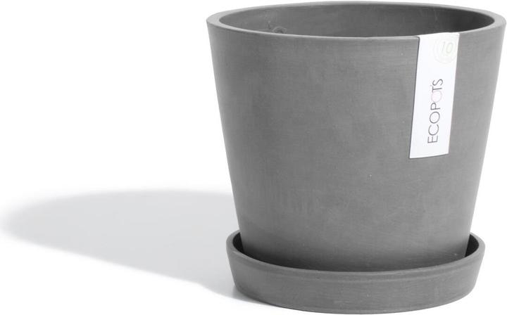 Actual product image Ecopots Amsterdam (20 cm)