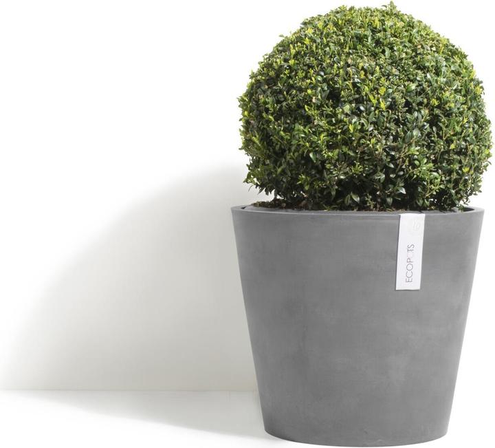 Actual product image Ecopots Amsterdam (50 cm)