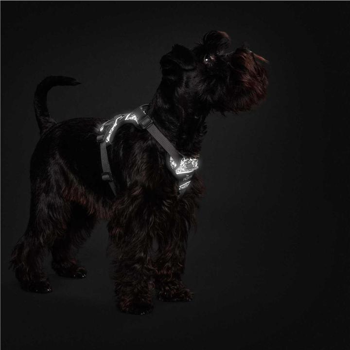 Actual product image Hunter Harness Divo Reflect nylon polyester (L, Dog, General)