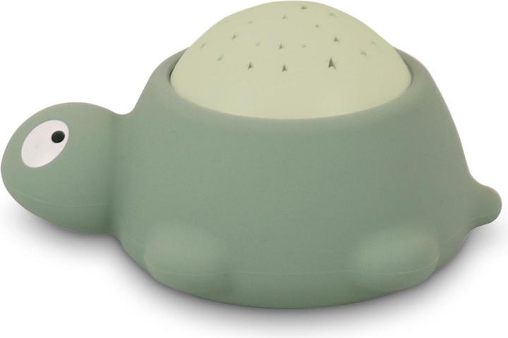 Actual product image Filibabba LED skilpadde natlampe
