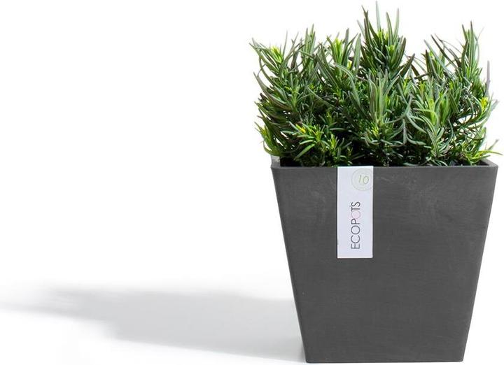 Actual product image Ecopots Rotterdam (30 cm)