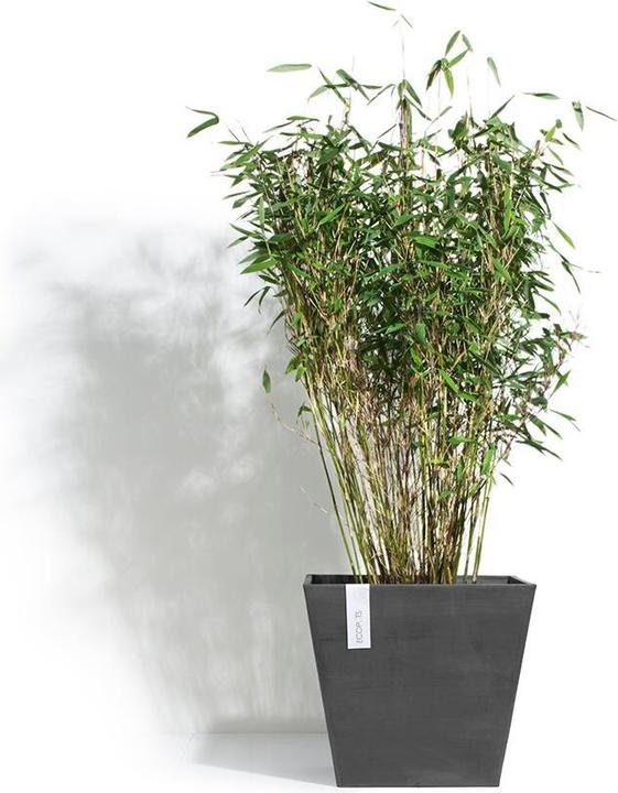 Image du produit Ecopots Rotterdam (40 cm)