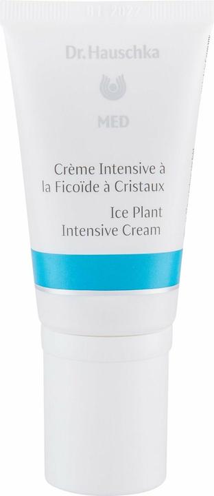 Actual product image Dr. Hauschka med Intensive Cream Ice Plant (50 ml, 24h cream)