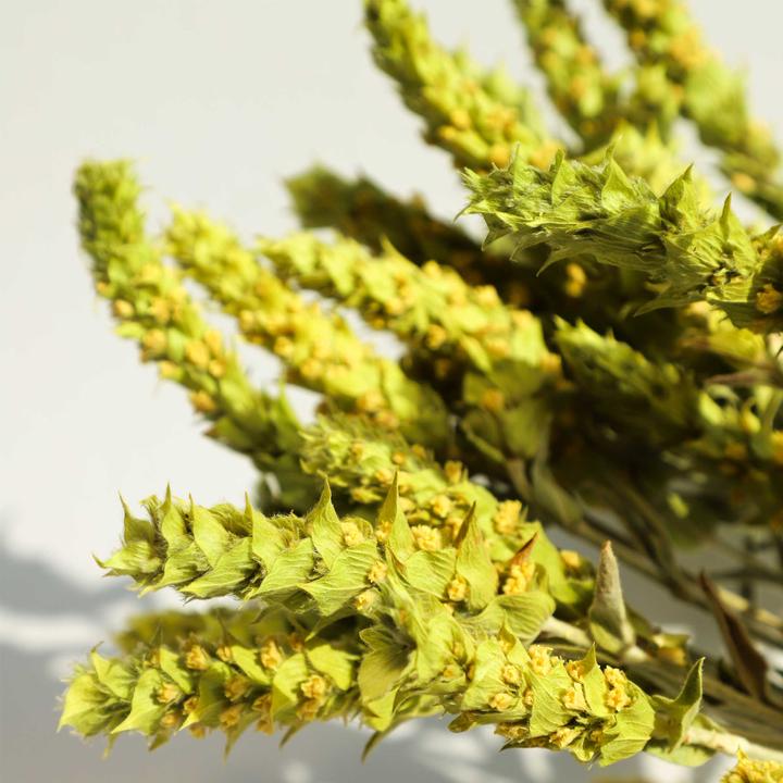 Produktbild Delinio Griechischer Bio Bergtee, 60 gr, SIDERITIS SCARDICA, per hand geerntet, natürliche Trocknung an der (62 g)