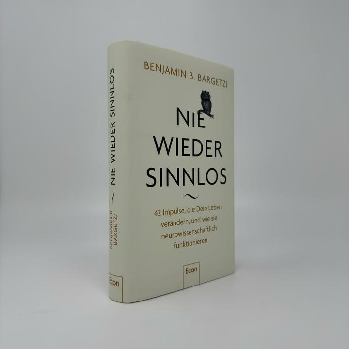 Immagine prodotto Nie wieder sinnlos (Tedesco, Benjamin B. Bargetzi, 2025)