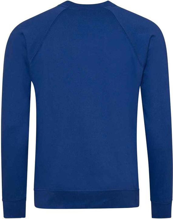 Actual product image Awdis Childrens/Kids Academy Raglan Sweatshirt (M)