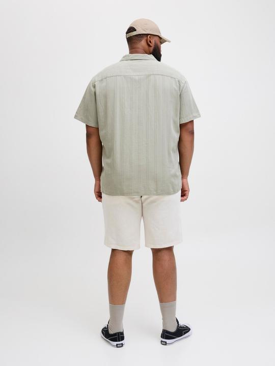 Produktbild Jack & Jones Plus Verjüngt Chino Shorts Chino Shorts (48)