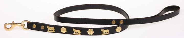 Produktbild Jenni Hemden Hundeleine Appenzeller (Hund)