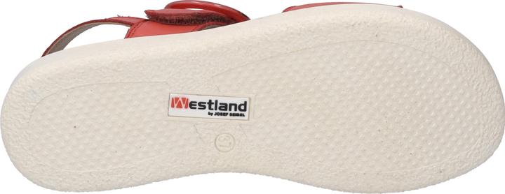 Actual product image Westland 25408-409 (39)