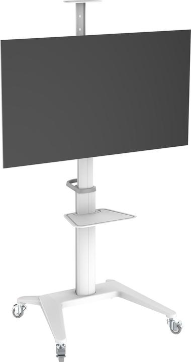 Actual product image PureMounts TV Trolley PDS-0003C DS, White (Universal, 70", 70 kg)