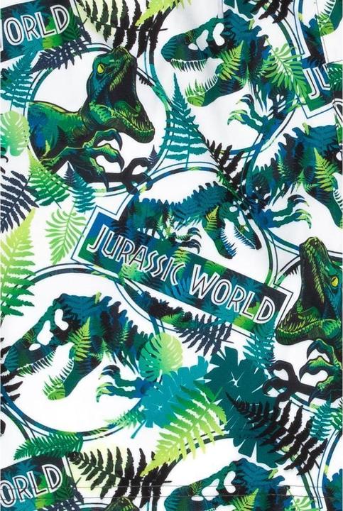 Image du produit Jurassic World gamins (134)