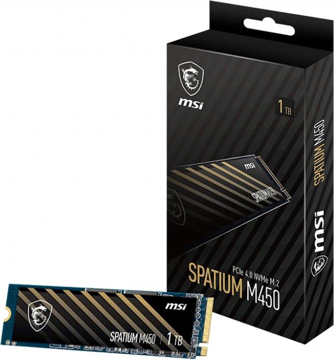 MSI 1To M.2 NVMe Gen4 - SPATIUM M450 V1 (1000 GB, M.2 2280)