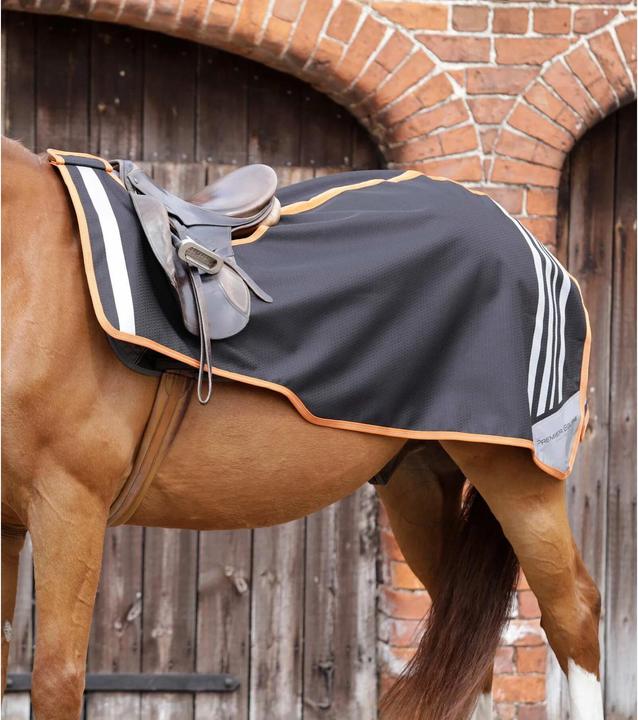 Actual product image Premier Equine Stratus Exercise Sheet