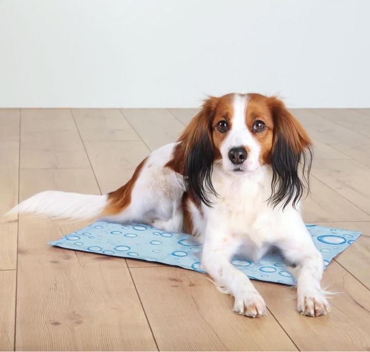 Actual product image Trixie Cooling mat (Dog)