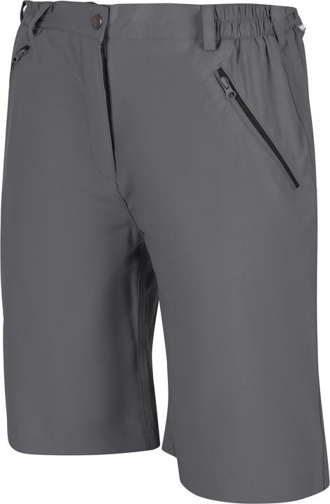 Actual product image Regatta Xert Shorts (36)