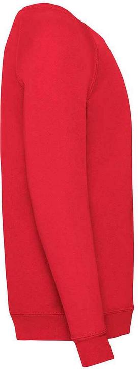 Actual product image Fruit of the Loom Childrens/Kids Classic Raglan Sweatshirt (152, 158)
