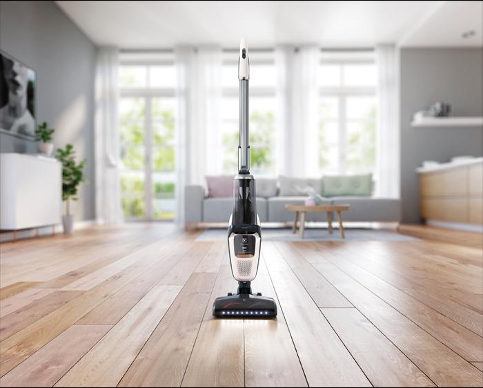 Actual product image Electrolux Pure F9 PF91-ALRGY