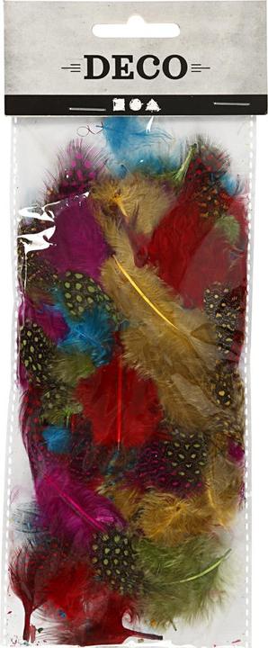 Actual product image Creativ Company Guinea fowl feathers assortment
