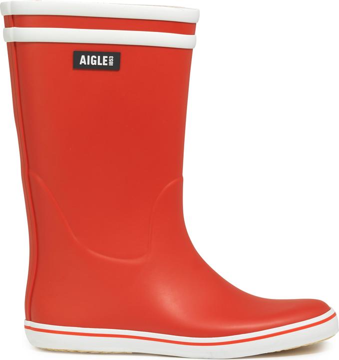 Aigle Malouine 2