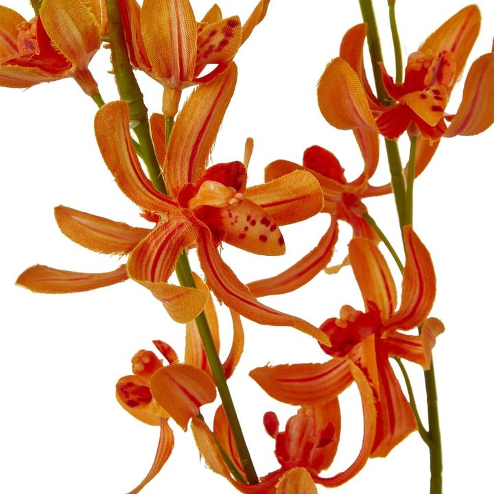 Image du produit Hill Interiors Cymbidium Spray Fleur Artificielle (95 cm)