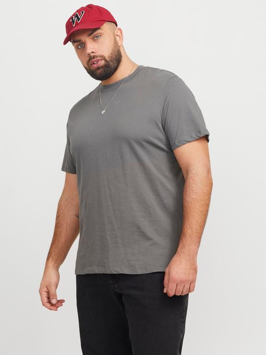 Actual product image Jack & Jones Jjebradley Tee Ss Noos Pls (5XL)