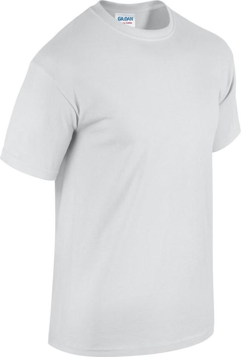 Actual product image Gildan Unisex Adult Cotton T-Shirt (XL)
