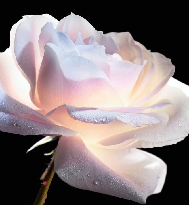 Immagine prodotto Dior Le Micro Serum Rose Yeux (Siero, 20 ml, Giorno + Notte)