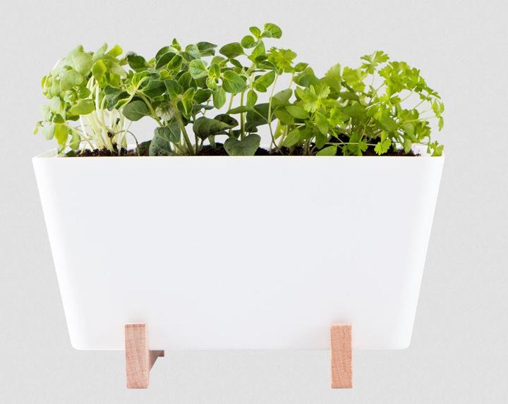 WaterWick PlantBox (14 cm)