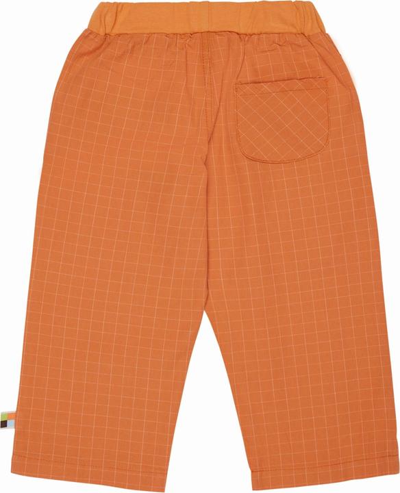 Actual product image loud + proud Fine check trousers (68)