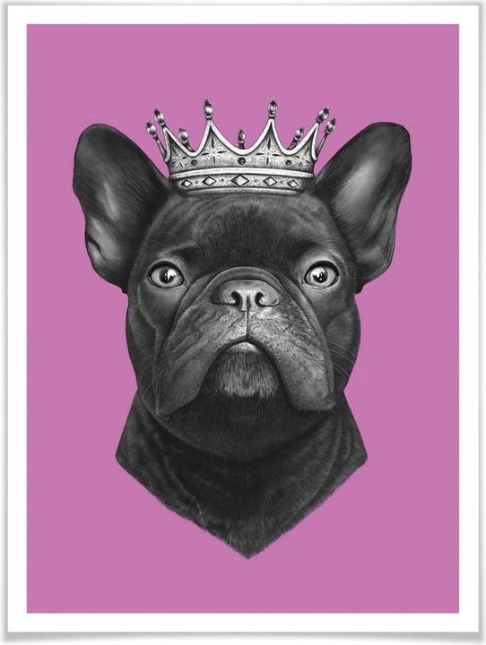 Actual product image Trenddeko King French Bulldog pink (30 x 40 cm)