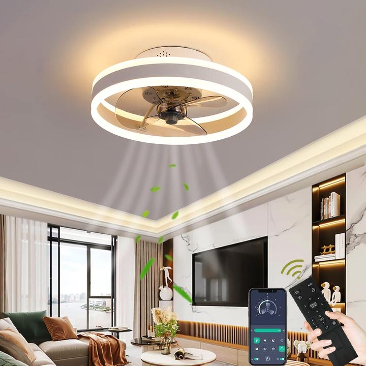Wildcat Ventilateur de plafond avec éclairage