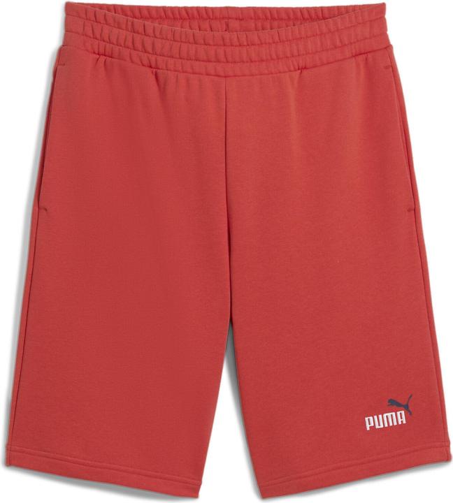 Puma No. 1 10"