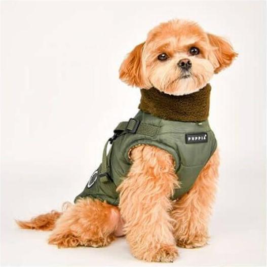 Image du produit Puppia Donavan (S, Manteau pour chien)