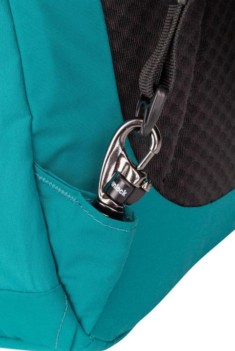 Actual product image Pacsafe LS450 (25 l)