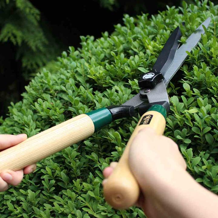 Image du produit Siena Garden Cisaille à haies avec lame ondulée (Taille-haie)