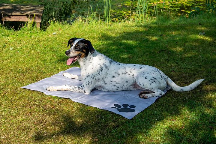 Produktbild Dobar Kühlmatte mit schwarzen Pfoten 99,5 x 70 cm grau (Hund)