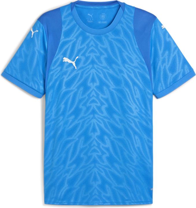 Image du produit Puma teamCUP Jersey (L)