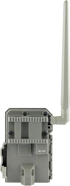 Immagine prodotto Spypoint LM2