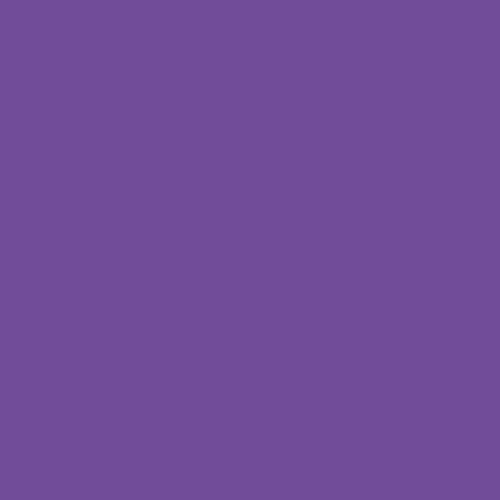Actual product image Cricut Iron-on film Infusible Ink 2 pieces, violet