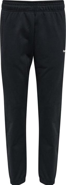 Actual product image hummel Lgc Shai Regular Pants (M)