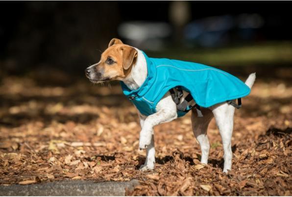 Produktbild Chiara Harry (M, Hundemantel)