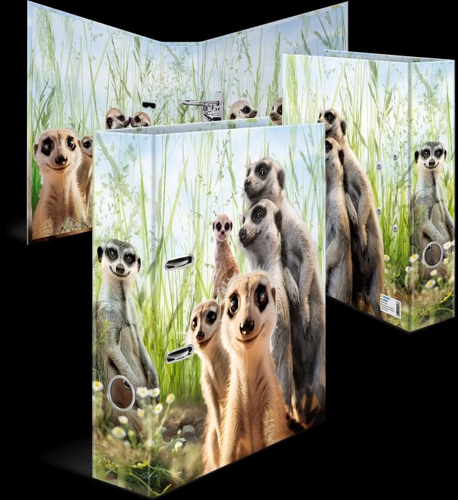 Herma Meerkat (A4, 70 mm, 1 Piece)