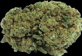 Produktbild B-Chill Valaisia (10 g, Indoor)