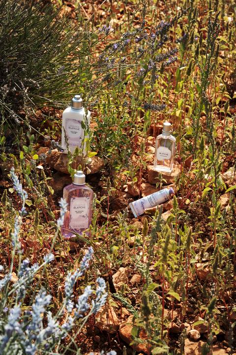 Immagine prodotto L'Occitane LAVANDE BLANCHE Eau de Toilette (Eau de toilette, 50 ml)