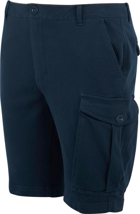 Actual product image Regatta Mens Bendrick Shorts (34)