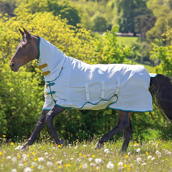 Actual product image Tempest Plus Sweetitch Horse Blanket (152.40 cm)