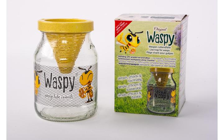 Image du produit Vincentes Waspy